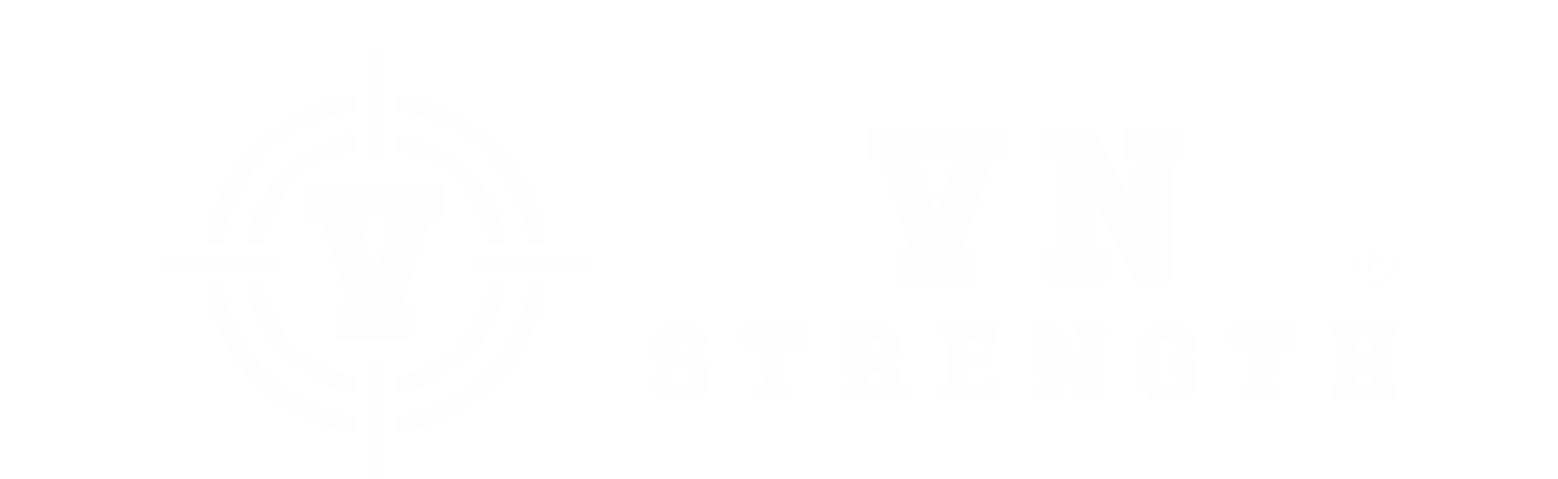 logo VN-STRENGTH.COM︱ĐAM MÊ VÀ SỨC MẠNH