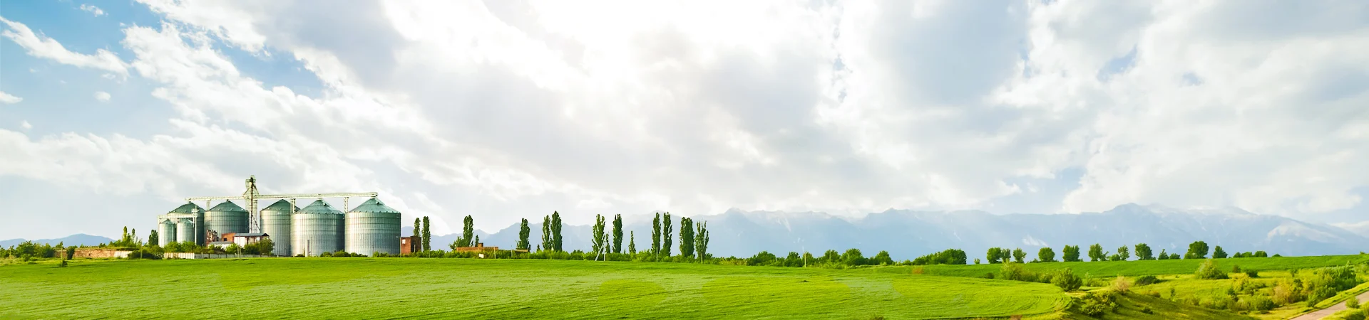 Chính sách thanh toán