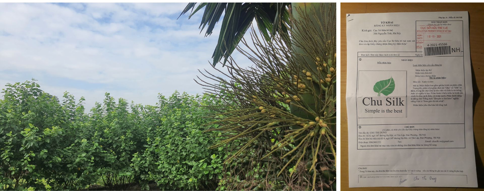 Set quà tặng lụa