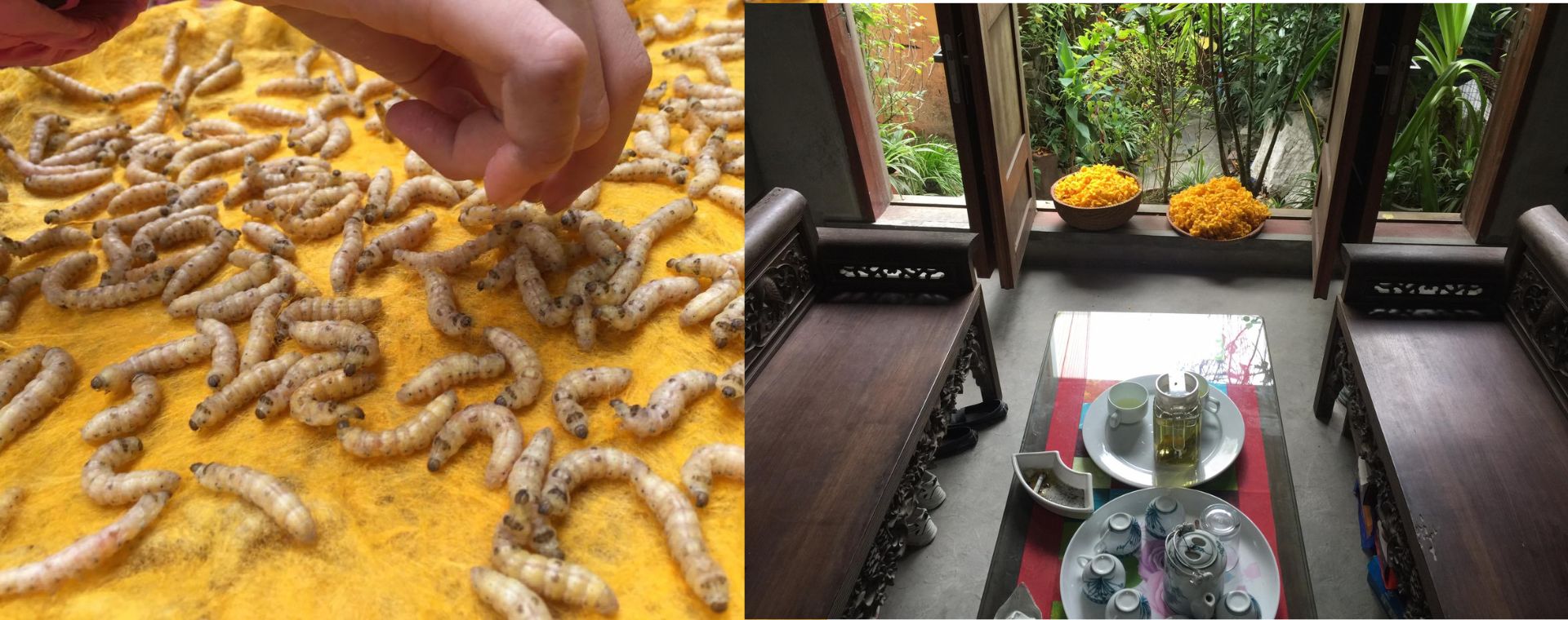 Sản phẩm nổi bật