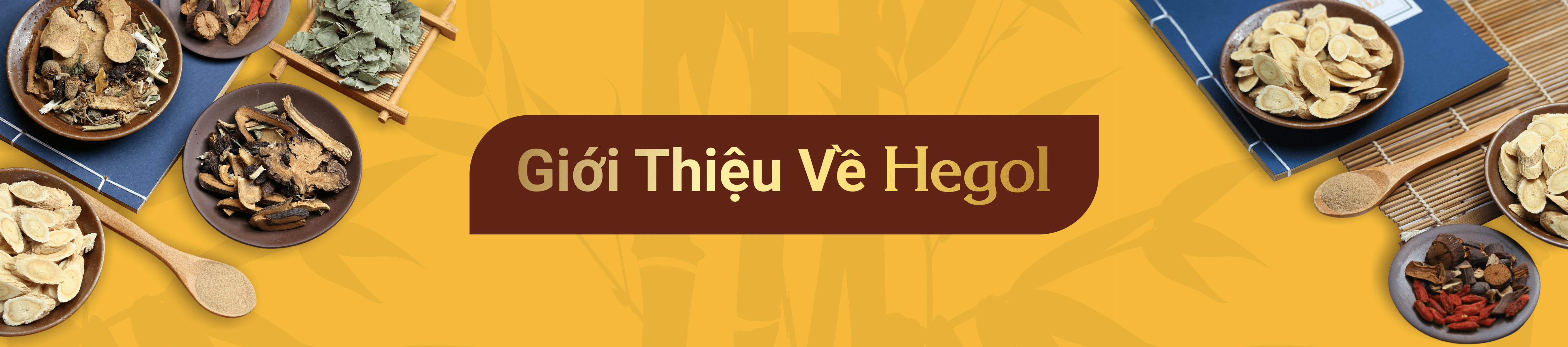 Trang blog của Hegol - /blogs/all