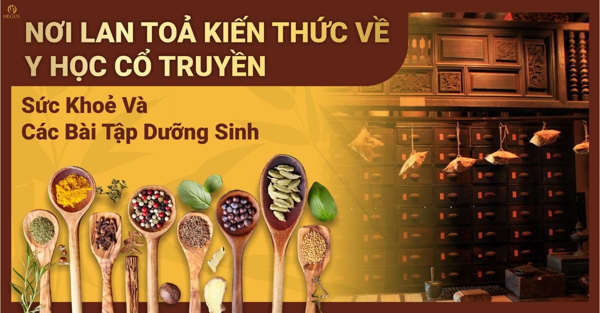 Tất cả bài viết