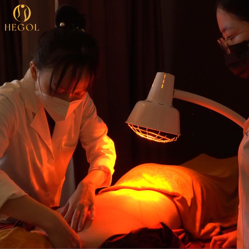 Các bước trong quy trình trị liệu theo y học cổ truyền của Hegol