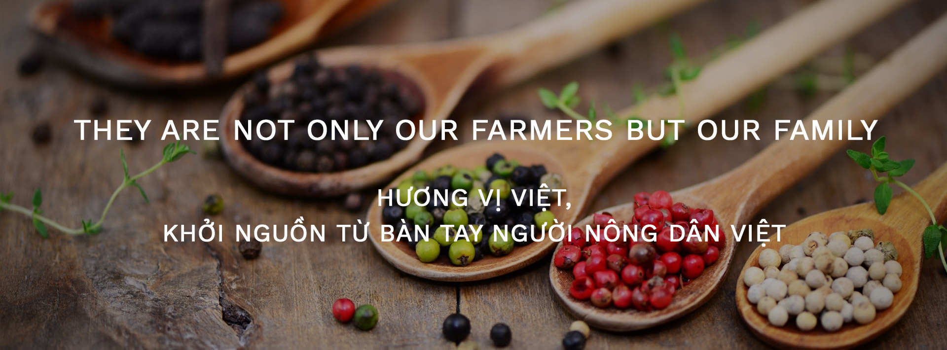 chương trình khuyến mãi 2