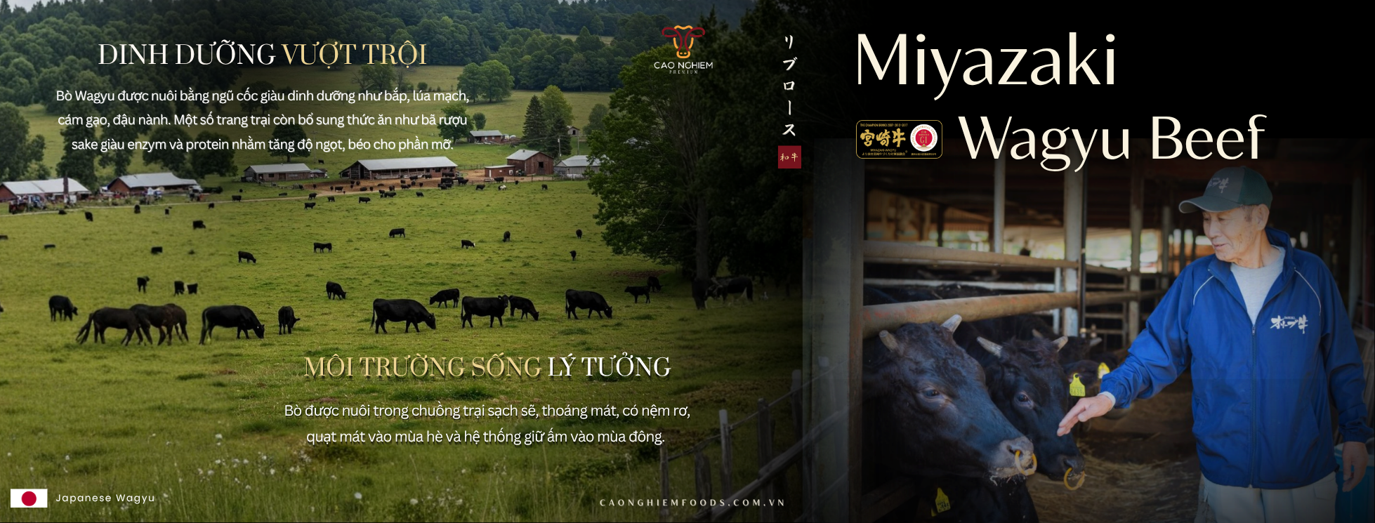 slider-website-2