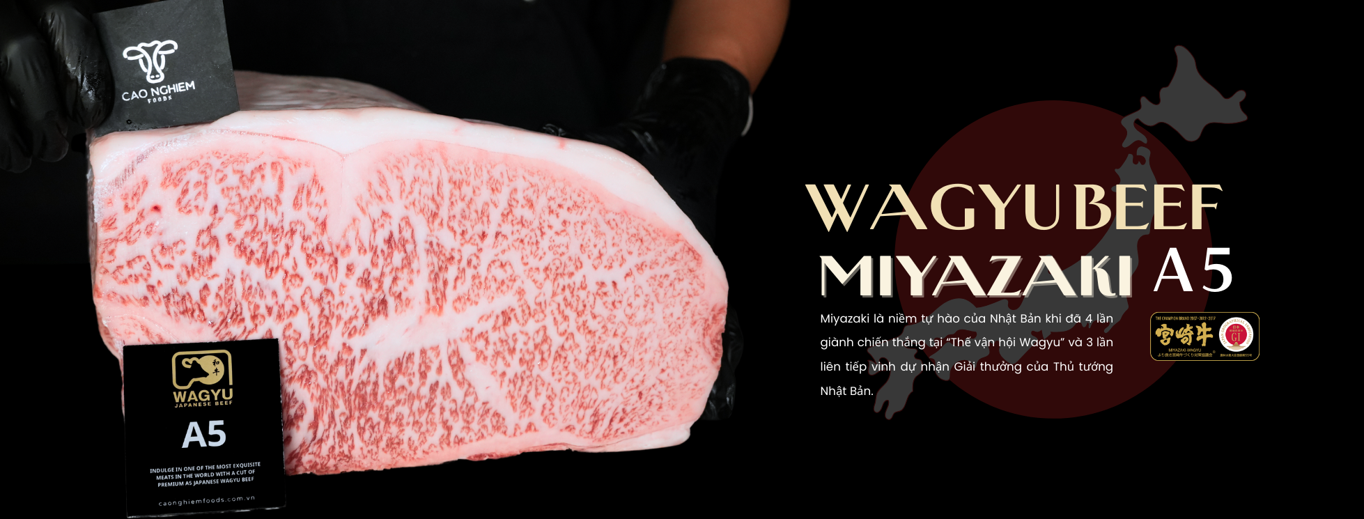slider-website-3