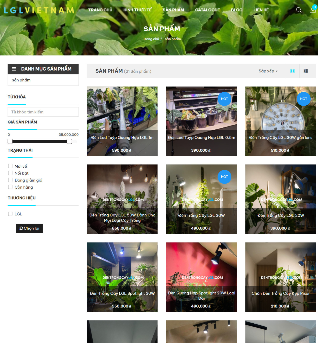 Viết bài chuẩn SEO