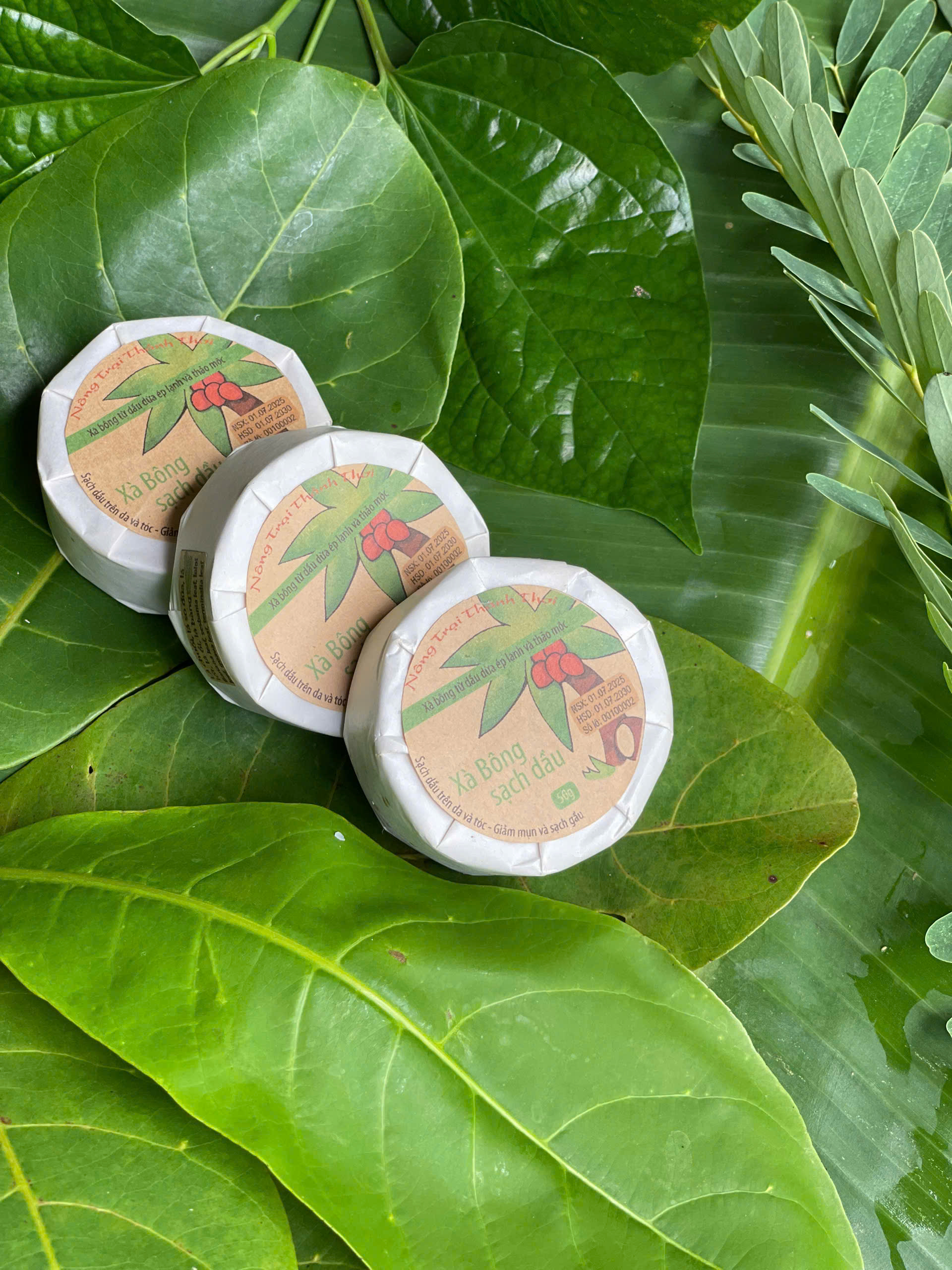 Dòng sạch dầu, giảm mụn