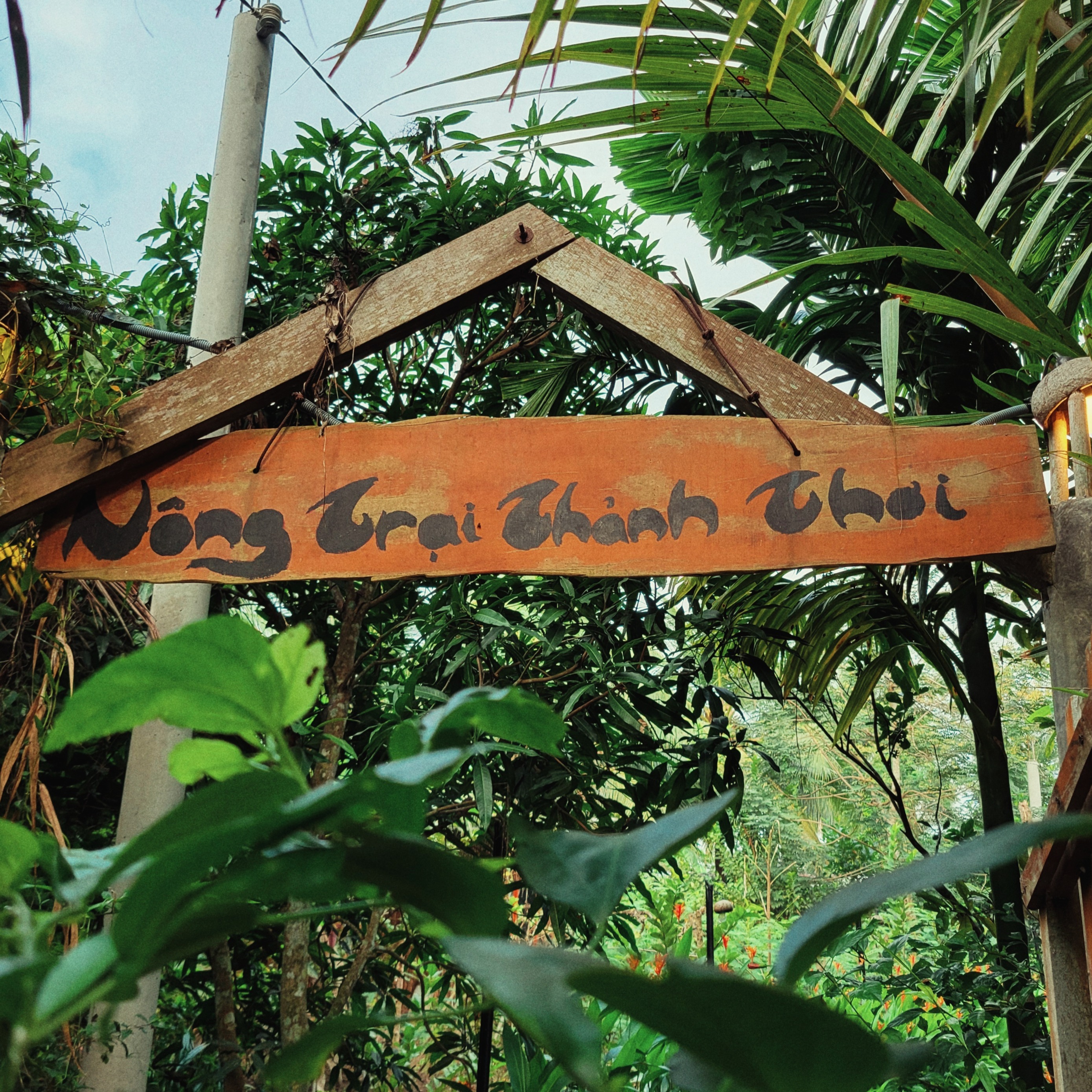 NÔNG TRẠI THẢNH THƠI