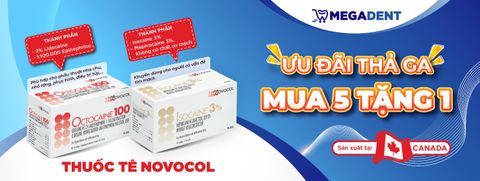 banner top 1