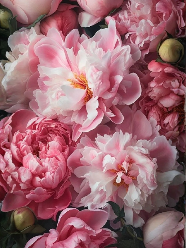 Floral
