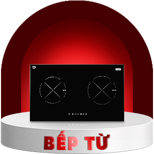 Bếp điện từ