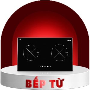 Bếp điện từ