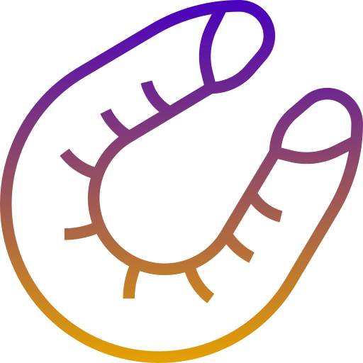 blackfriday_001_coll_title_icon_img_2.png
