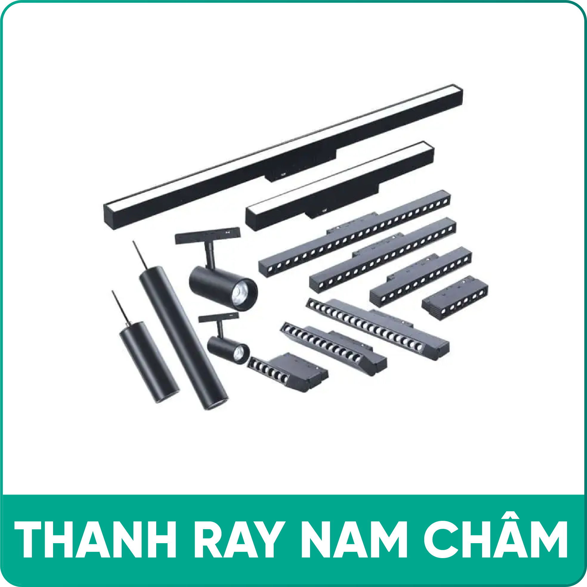 THANH RAY NAM TRÂM