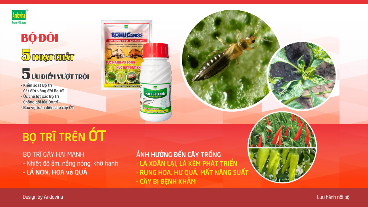 Bọ trĩ