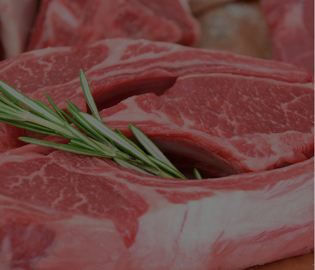 Food & Retail