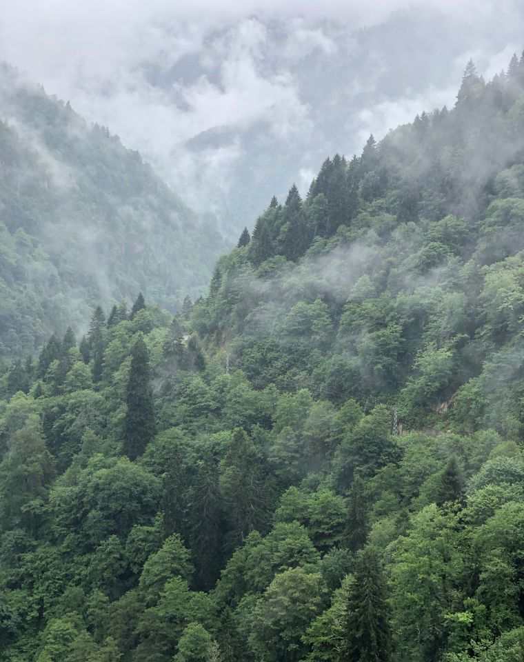 Tư vấn Quản lý và Phát triển Doanh nghiệp