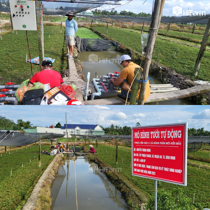 HiFarm hợp tác cùng Sở Nông nghiệp & Môi trường Vĩnh Long triển khai hệ thống tưới thông minh