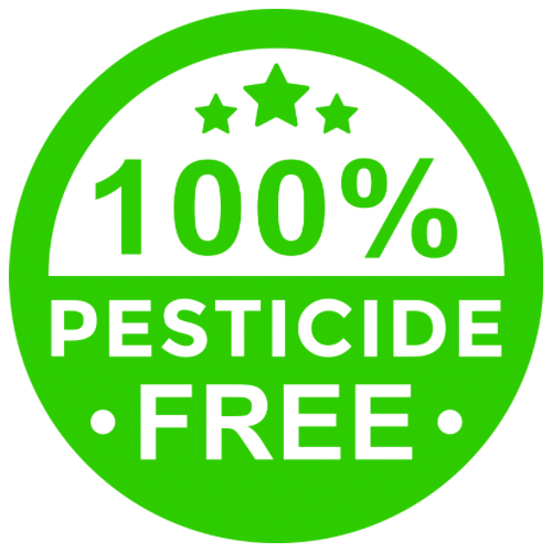 Không Dùng Canxi Sunfat