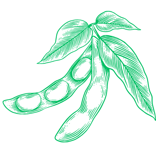 DANH MỤC SẢN PHẨM