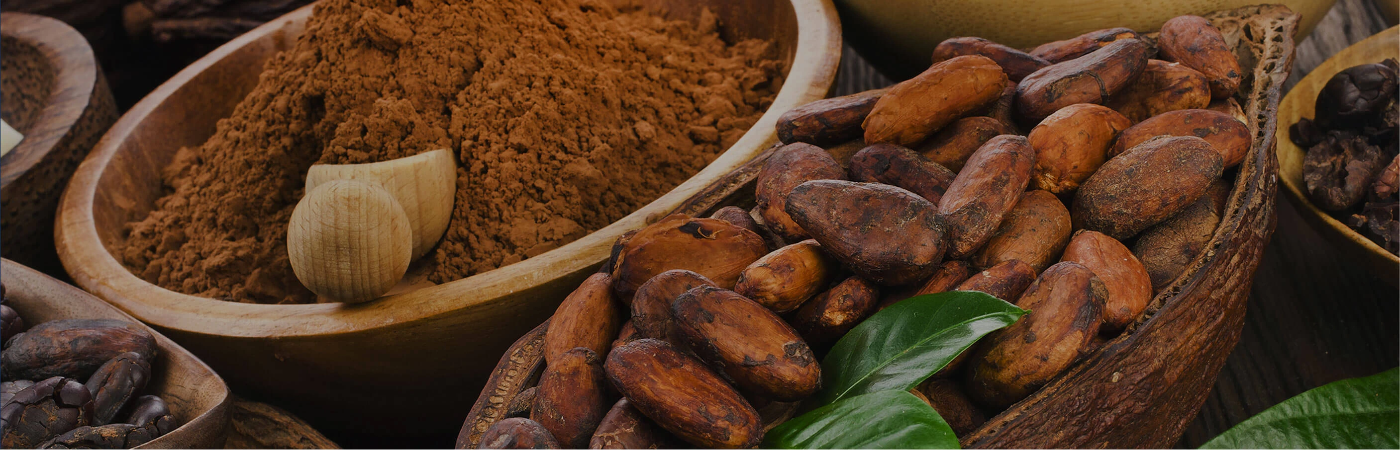 TẠI HỆ THỐNG CỬA HÀNG PALMER'S