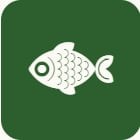 Tự lập & Tư duy độc lập