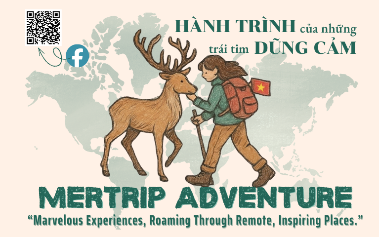 Mertrip Adventure