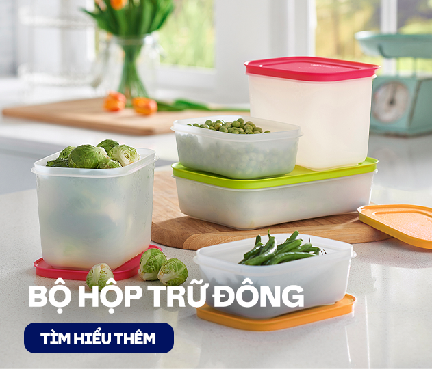 Bộ hộp trữ đông