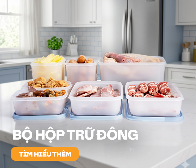 Bộ hộp trữ đông