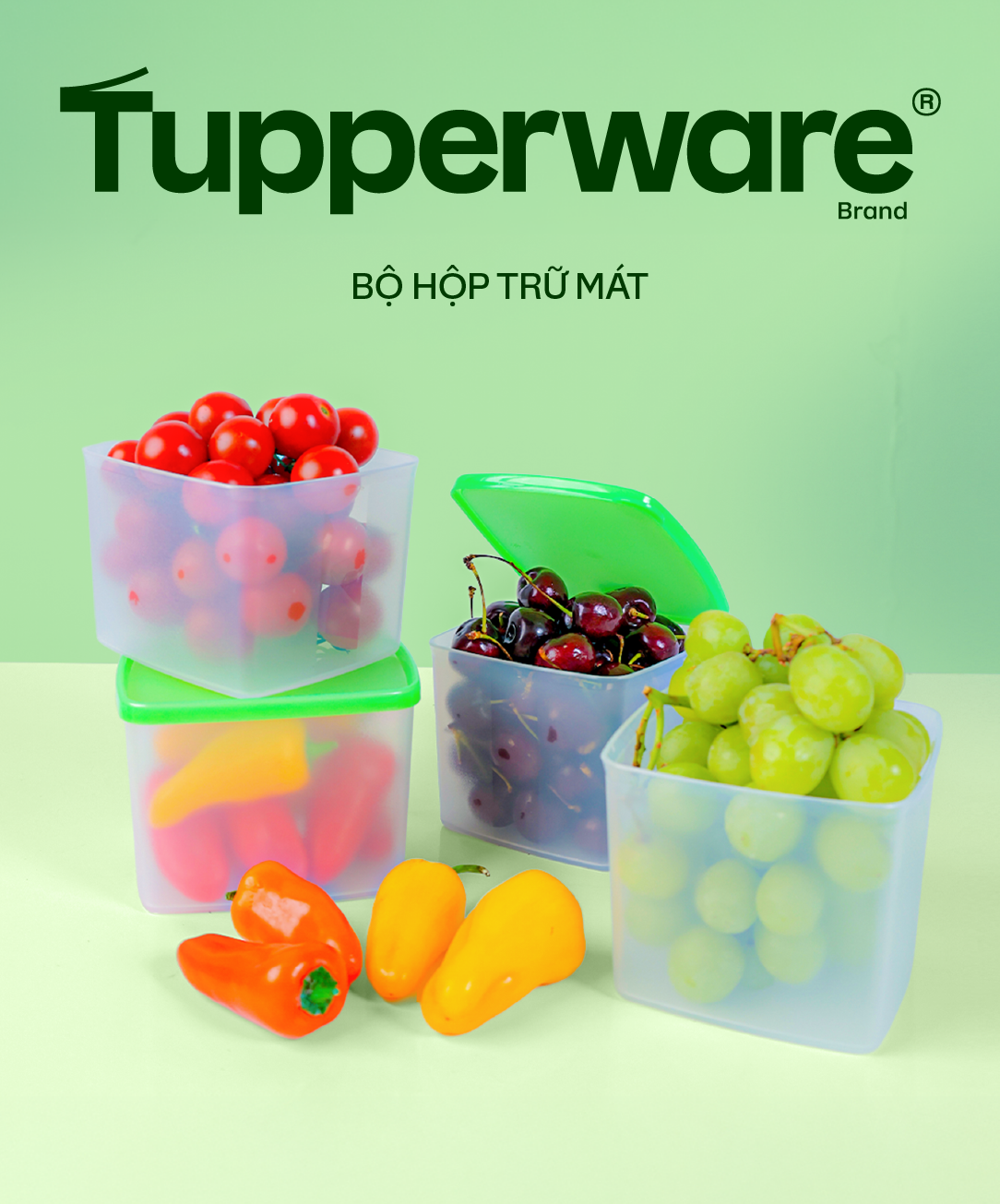 Tupperware Việt Nam