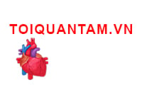 toi-quan-tam