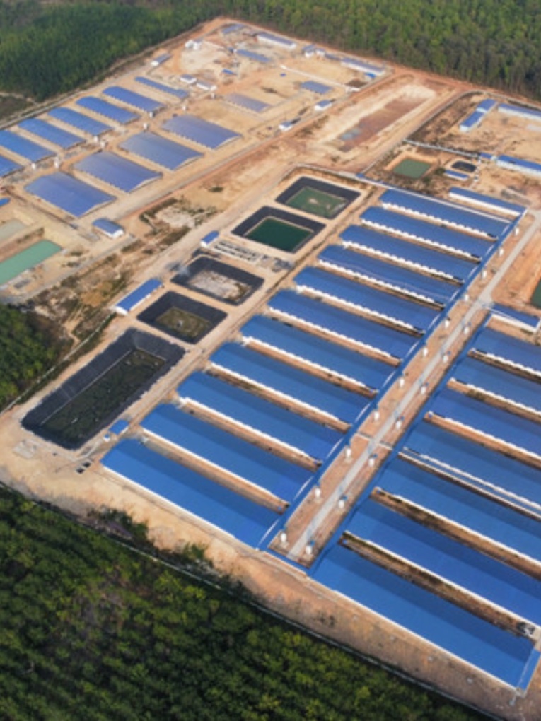 TRẠI PHÚ LỘC – 3,000 FATTENING