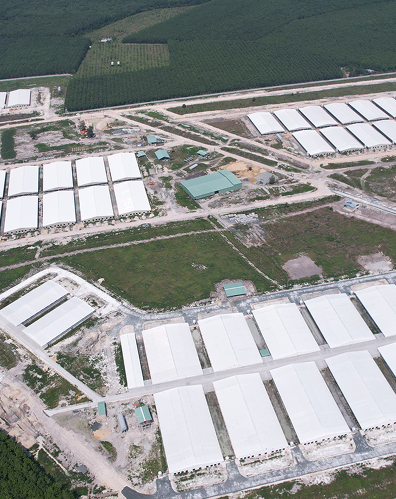 TRANG TRẠI CHĂN NUÔI