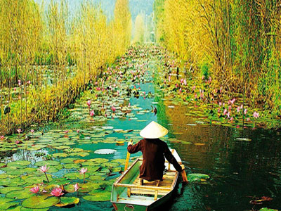 Cho thuê xe máy, tàu, vé máy bay