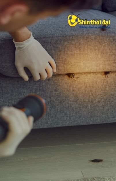  Dịch vụ vận chuyển, di dời  