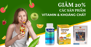 Phục hồi cơ