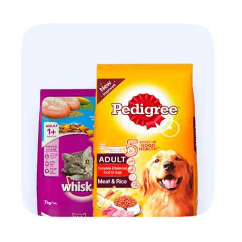 Chăm sóc thú cưng