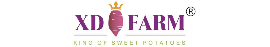 Banner sản phẩm