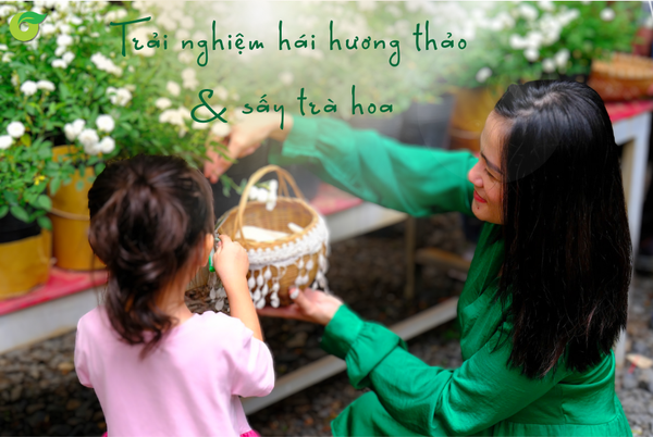 Thực phẩm sạch