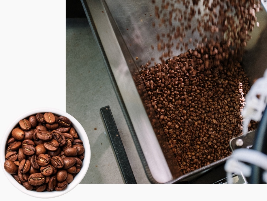 <b>Harvesting Procedures</b>