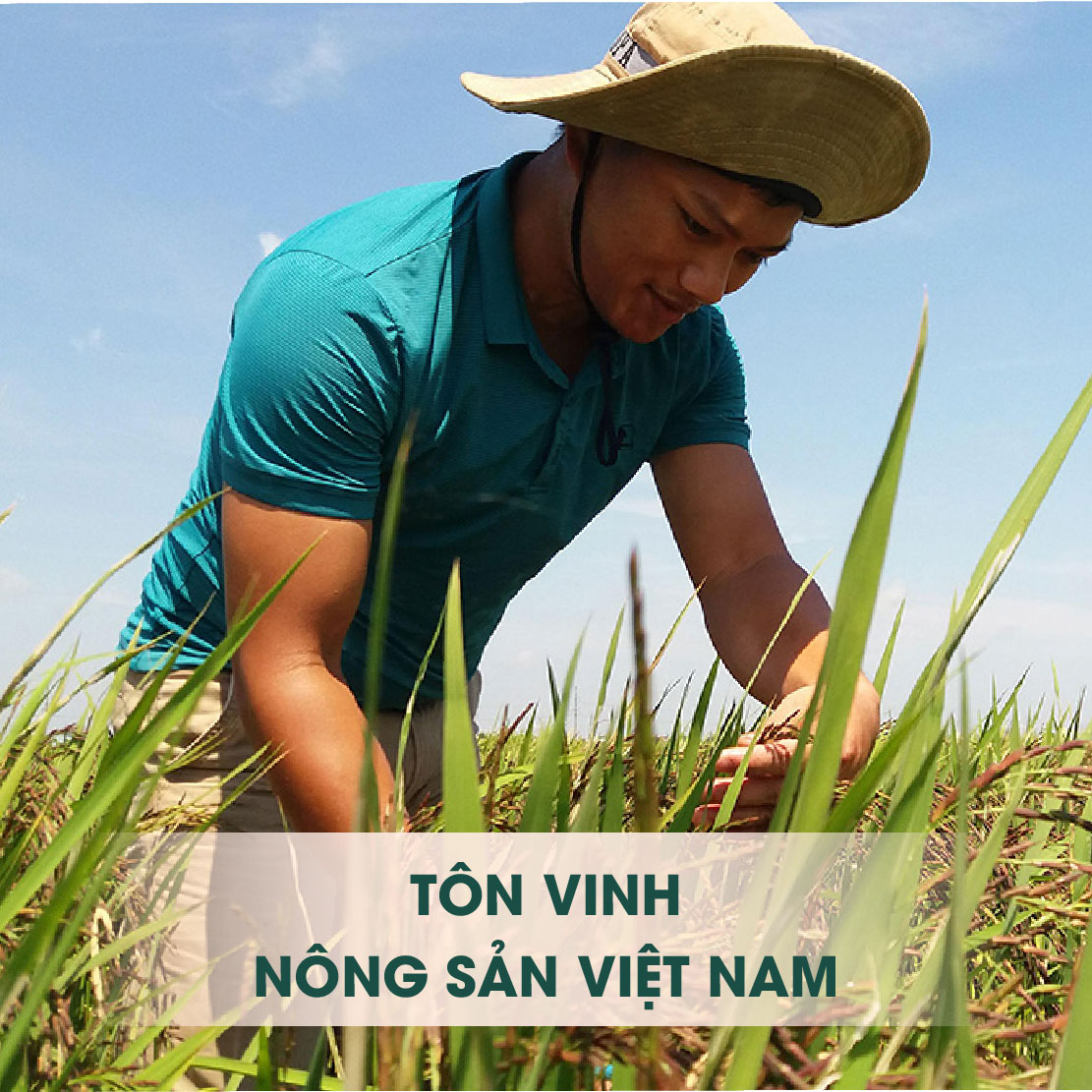 Tôn vinh nông sản việt