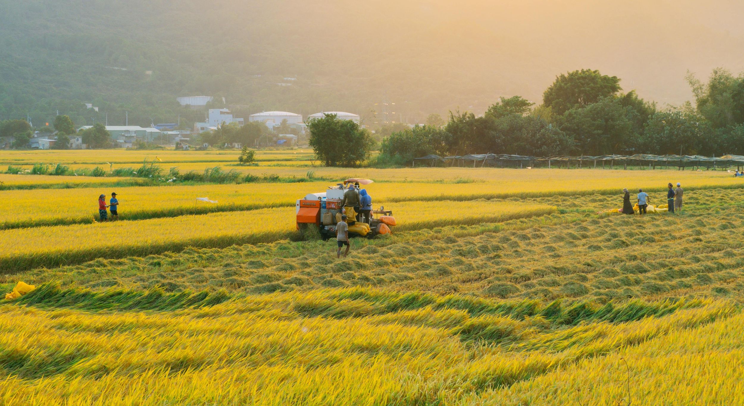 hệ sinh thái sản phẩm</a><br>xanh – sạch – bền vững