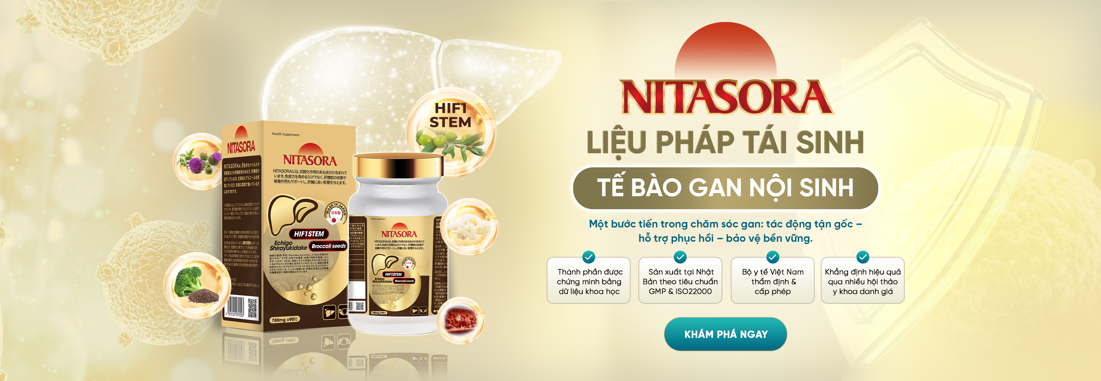 Lịch sử hình thành