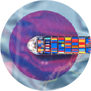 Sản phẩm nhập khẩu chính ngạch từ Nhật Bản