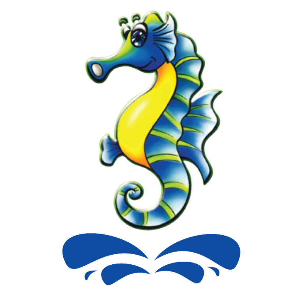 Sitto Việt Nam