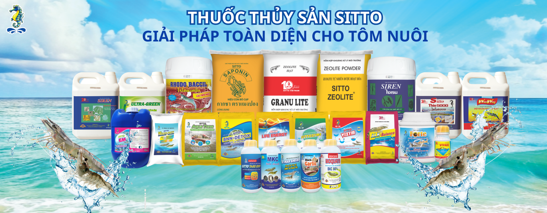 chương trình khuyến mãi 3