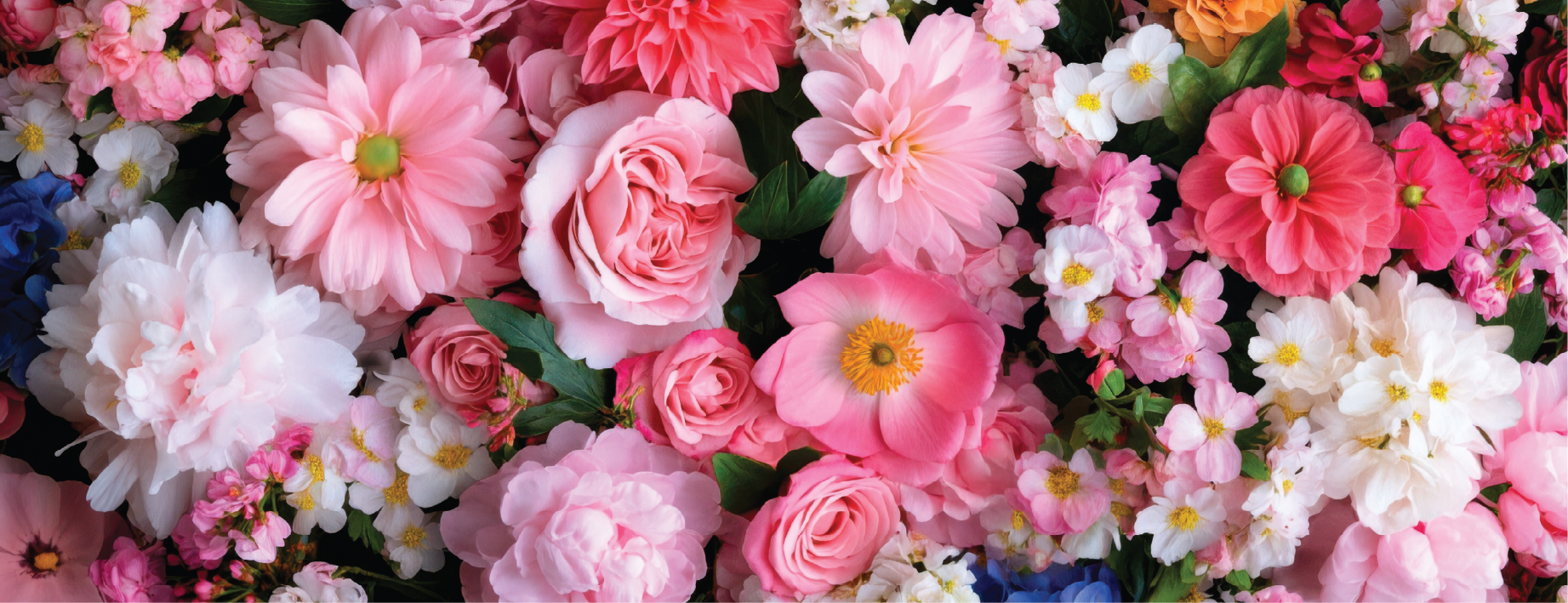 Dây chuyền sản xuất 4