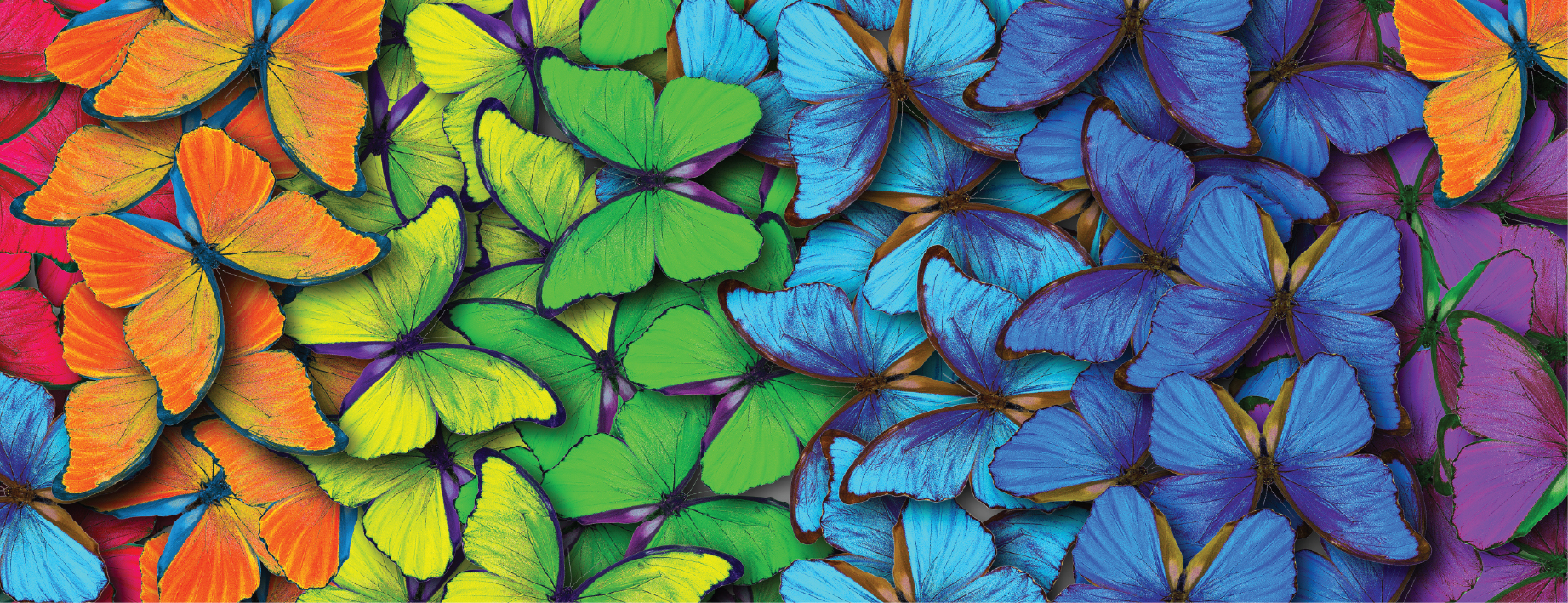 Dây chuyền sản xuất 7