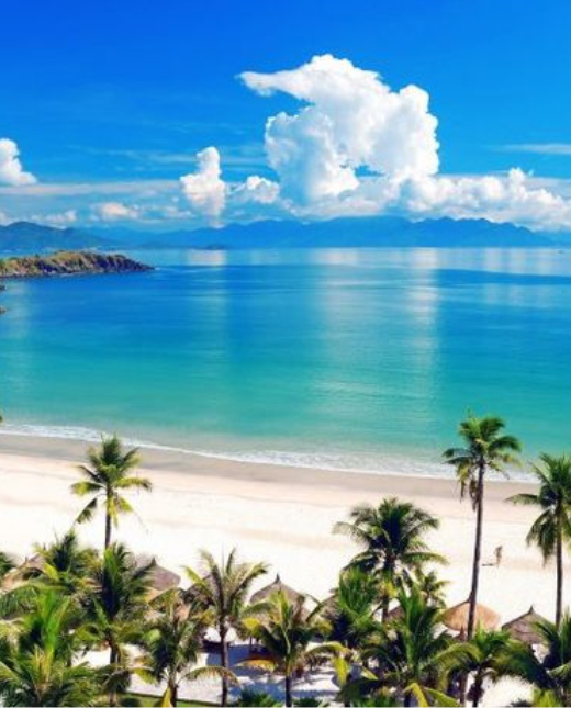 Kiến tạo sự giàu có toàn diện về thể chất và tinh thần. Hành trình lắng nghe để thấu hiểu.